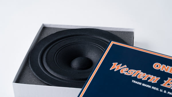755-A Speaker Cone